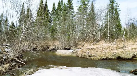 69 Casey Lane Jefferson NH 03583