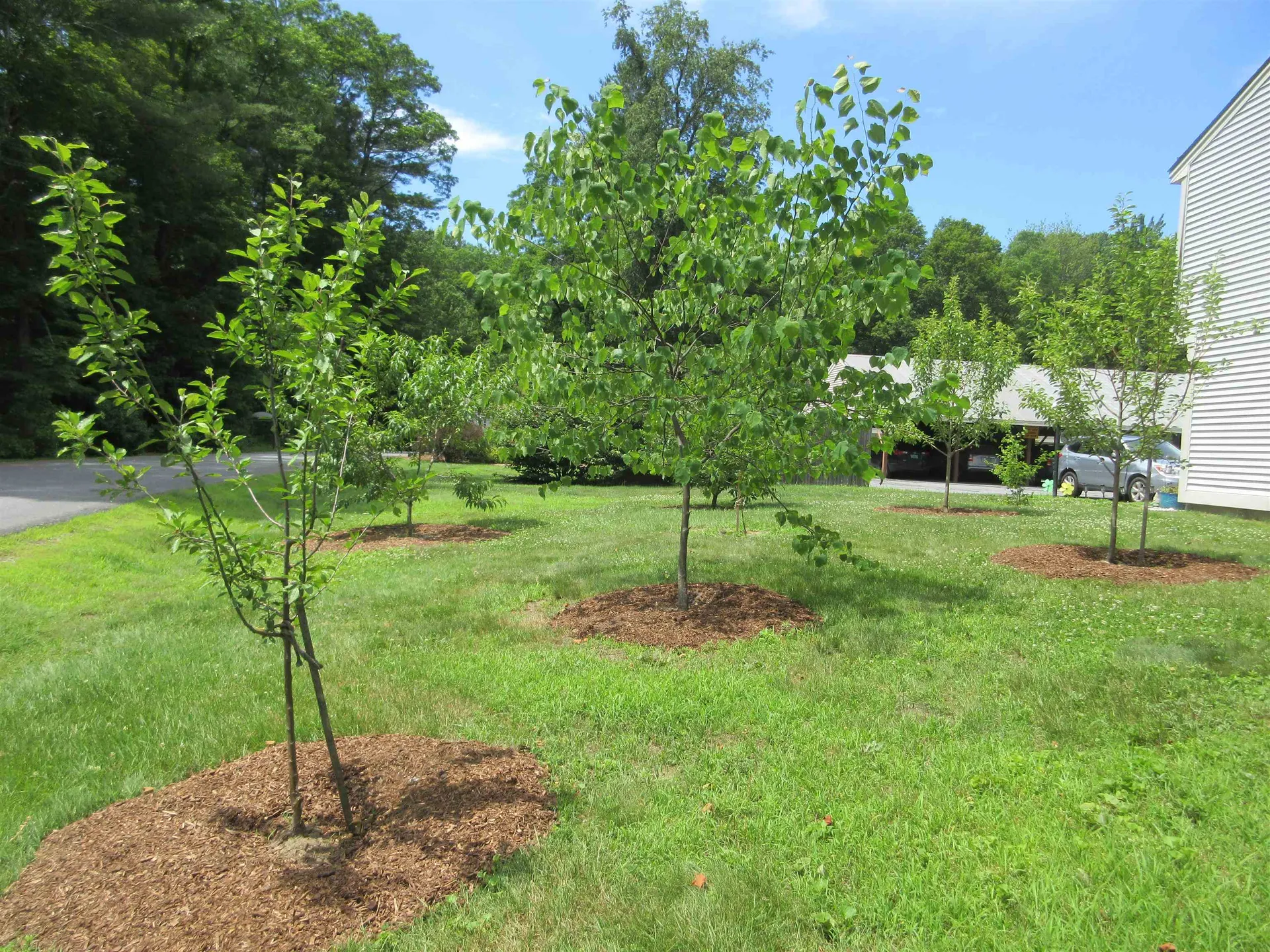 67 Morningside Commons Brattleboro VT 05301