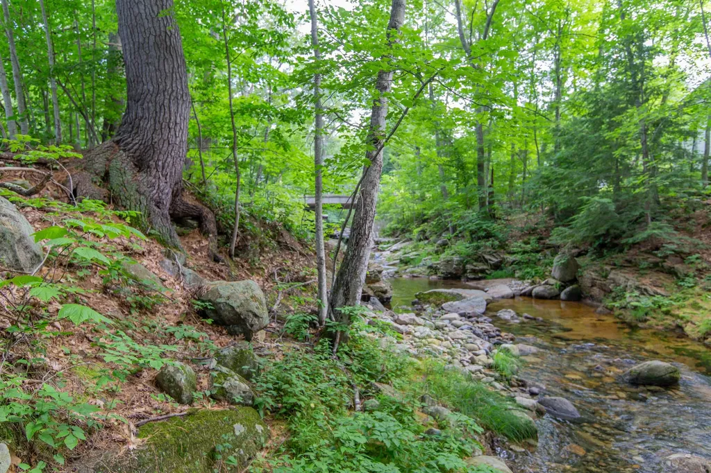 13 Mill Road Tamworth NH 03883