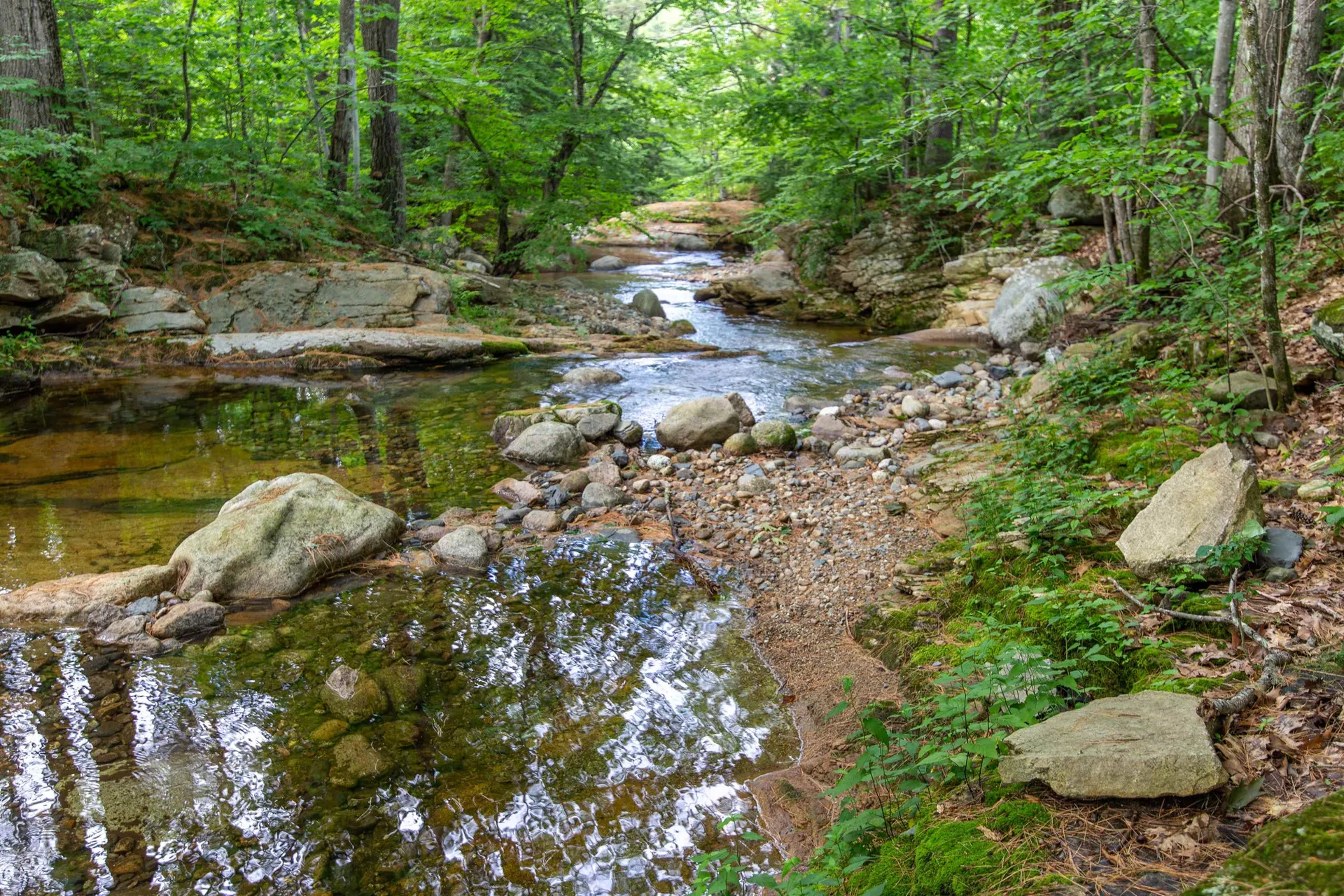 13 Mill Road Tamworth NH 03883