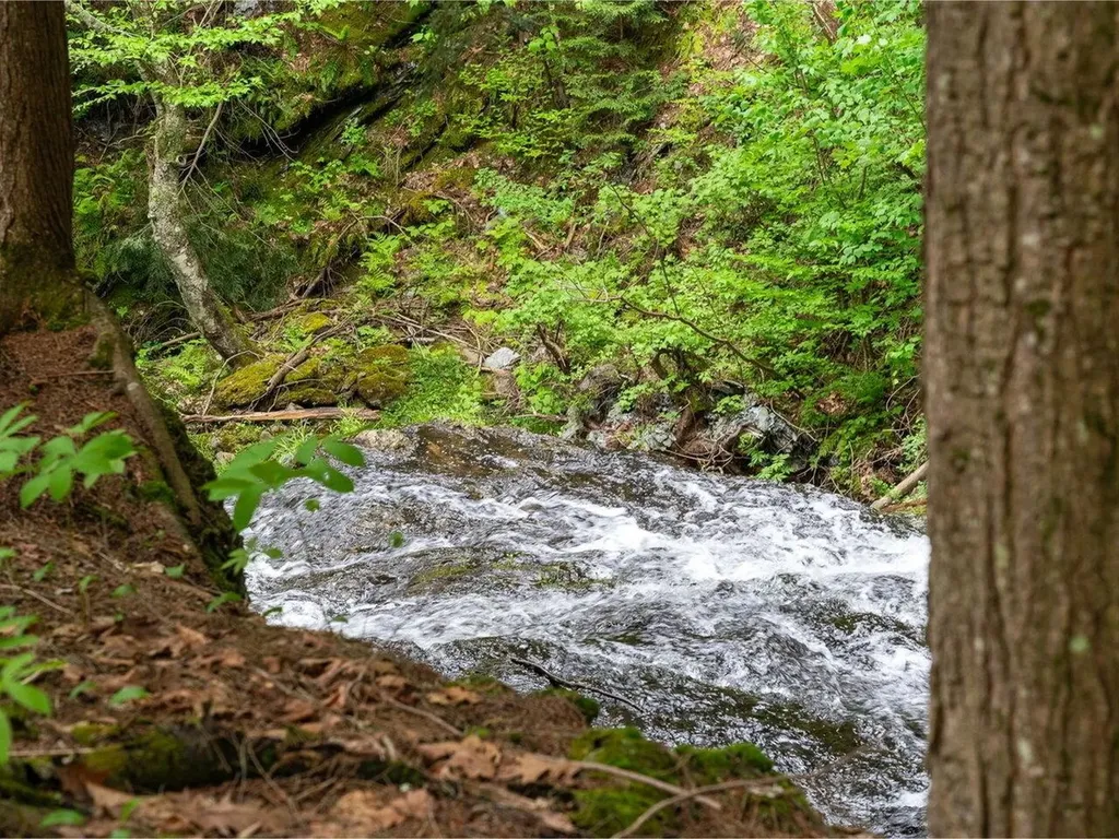 2427 Monument Hill Road Hubbardton VT 05735