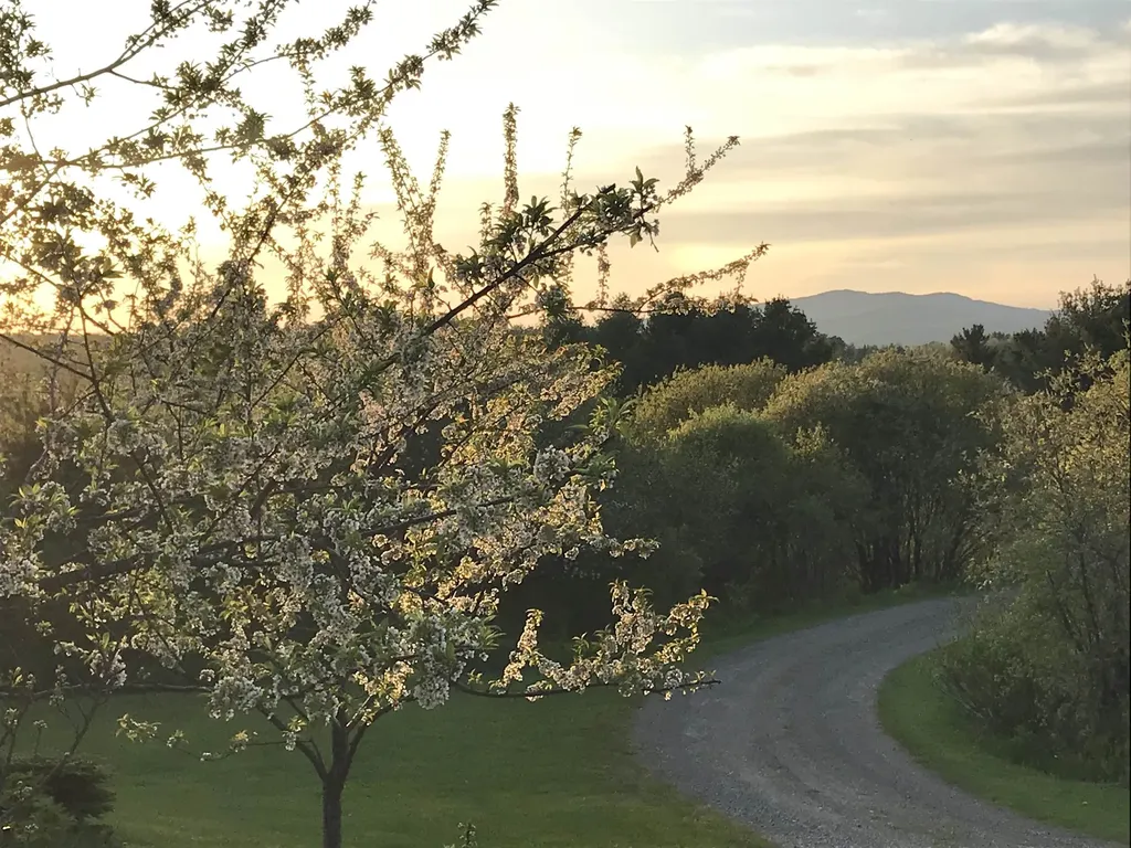 2852 Centerville Road Hyde Park VT 05655