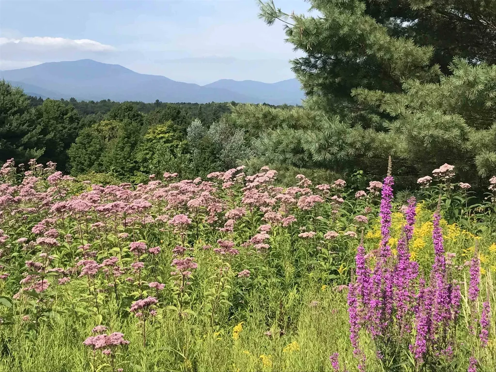 2852 Centerville Road Hyde Park VT 05655