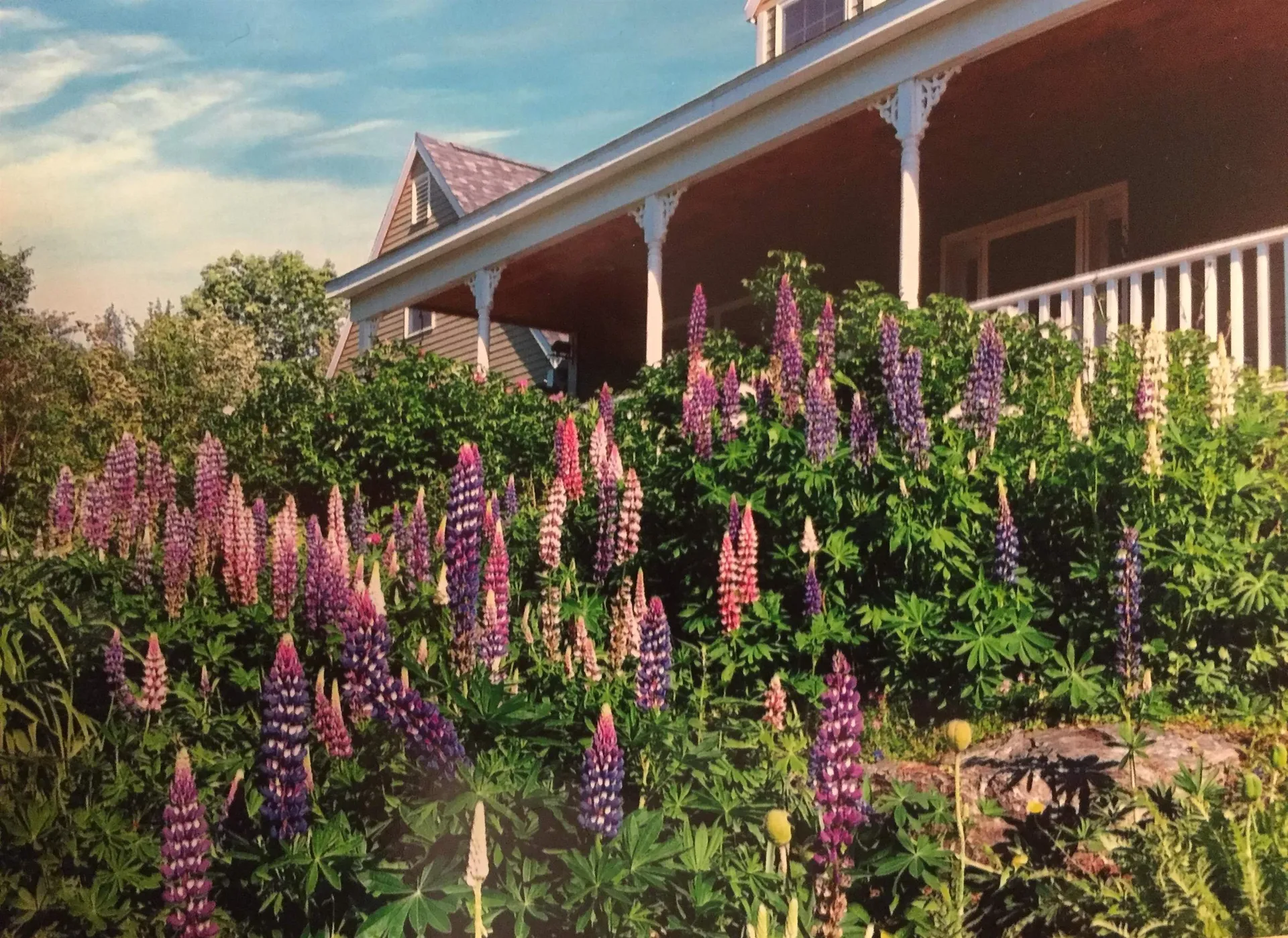 2852 Centerville Road Hyde Park VT 05655