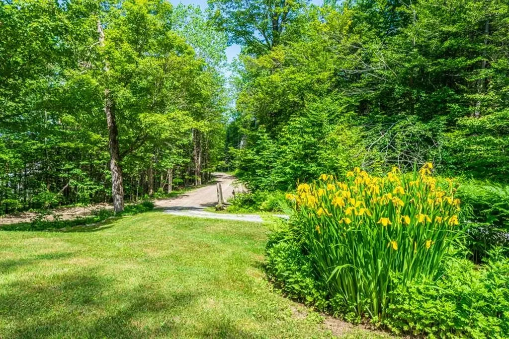 55 Uphill Road Landgrove VT 05148