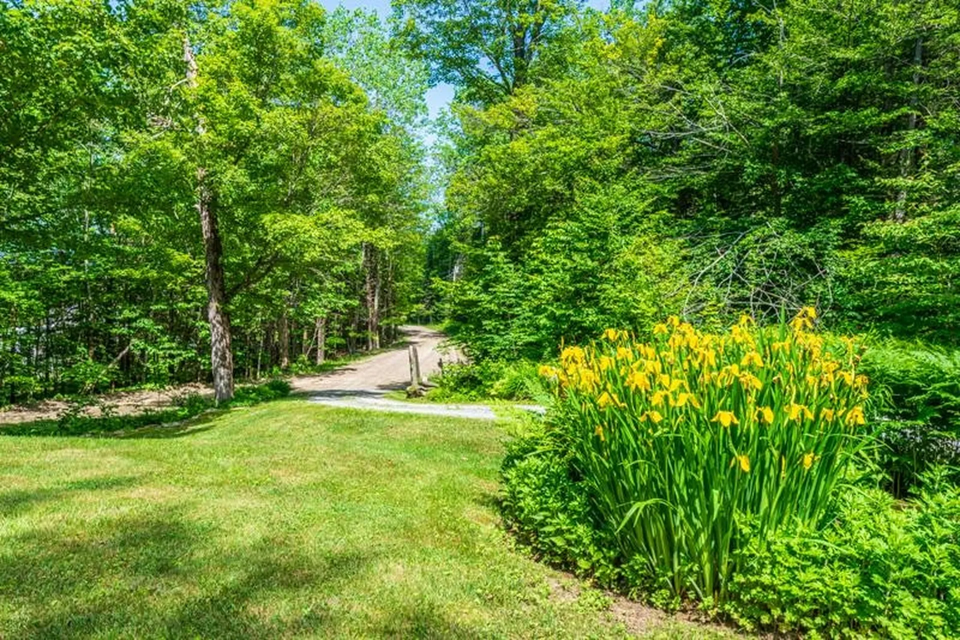 55 Uphill Road Landgrove VT 05148