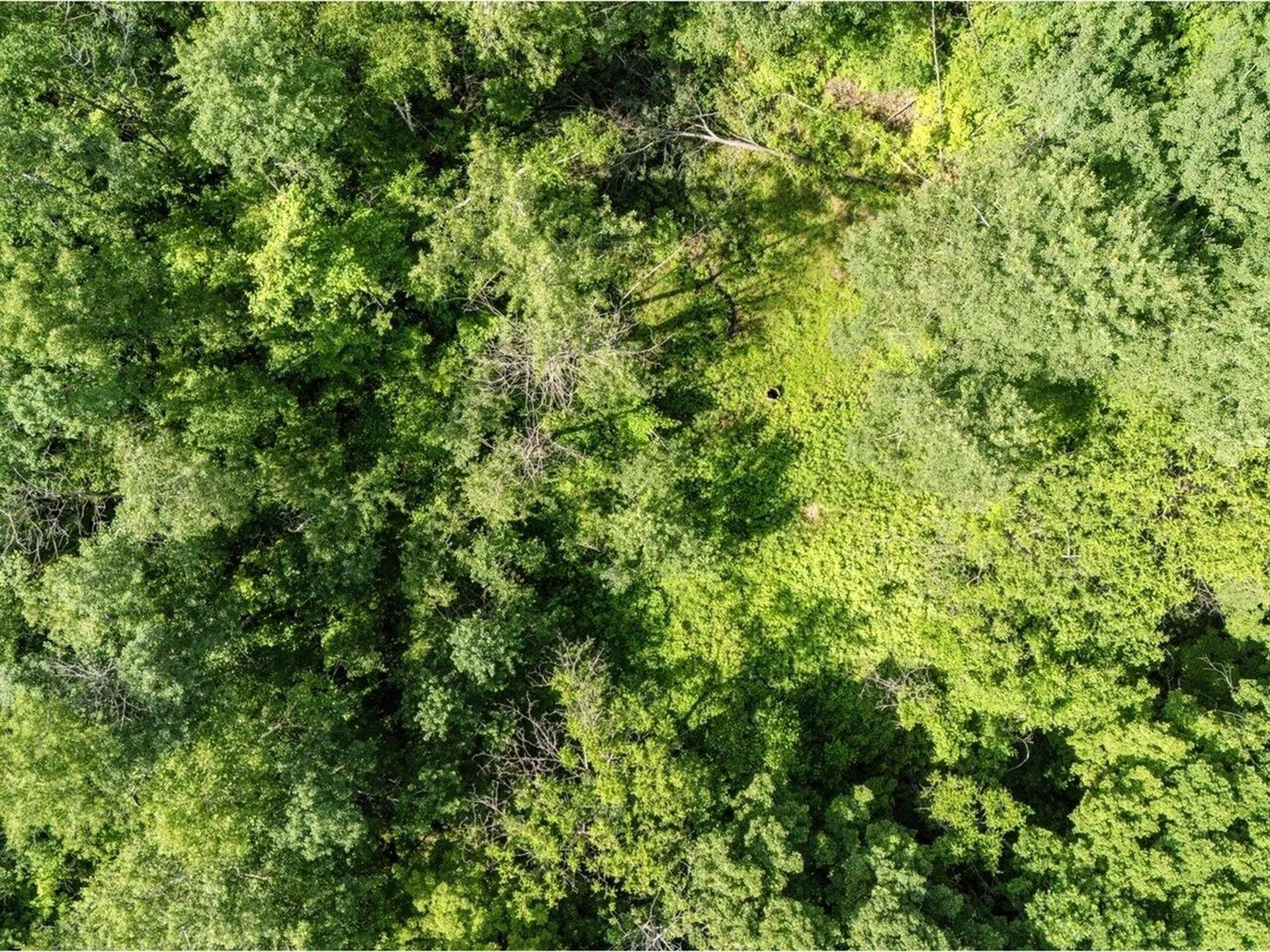 Lot 4 Homestead Drive Charlotte VT 05445