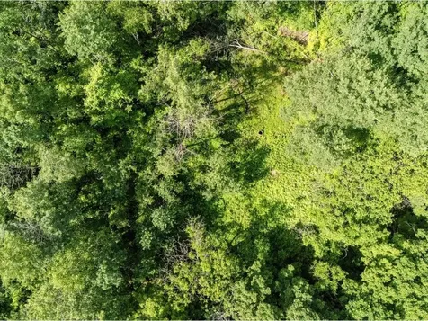 Lot 4 Homestead Drive Charlotte VT 05445