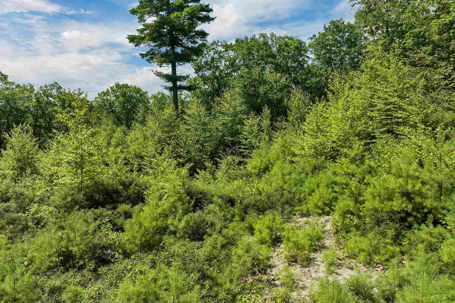 409 Powder Mill Road Alton NH 03809