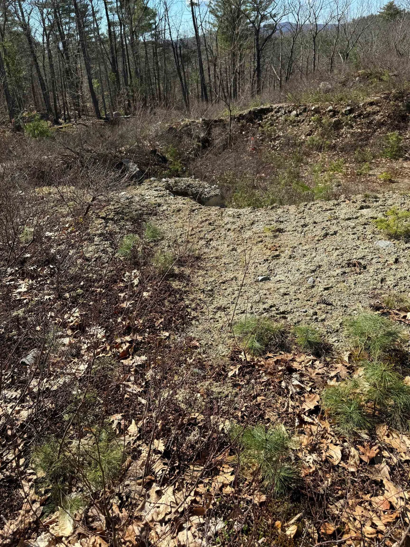 409 Powder Mill Road Alton NH 03809