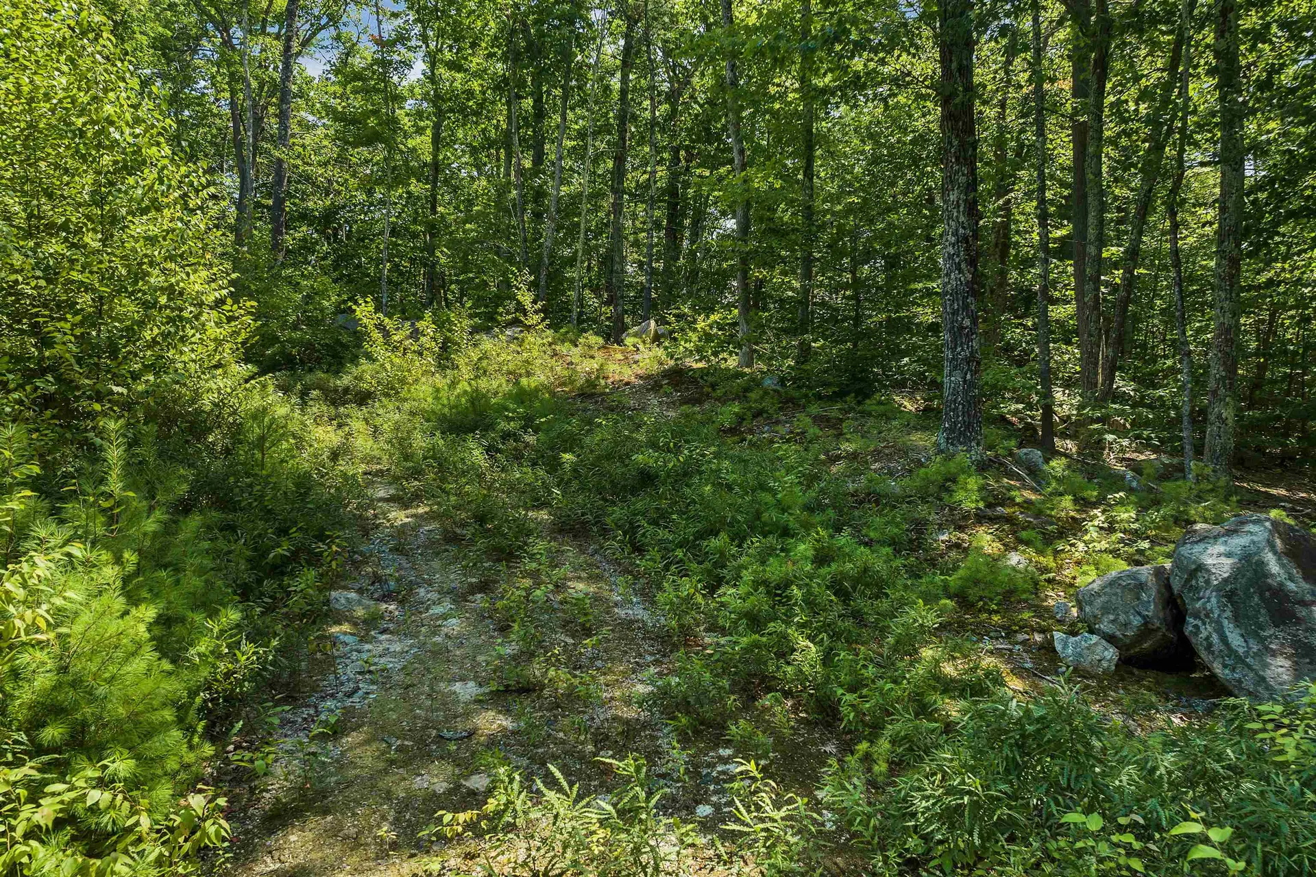 409 Powder Mill Road Alton NH 03809