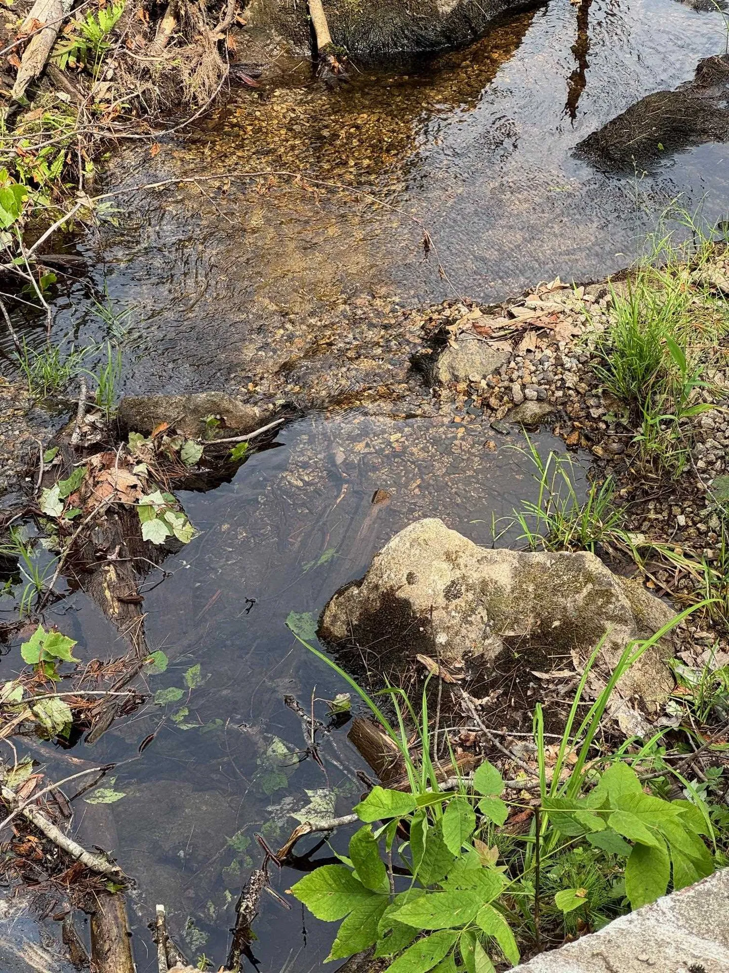 409 Powder Mill Road Alton NH 03809