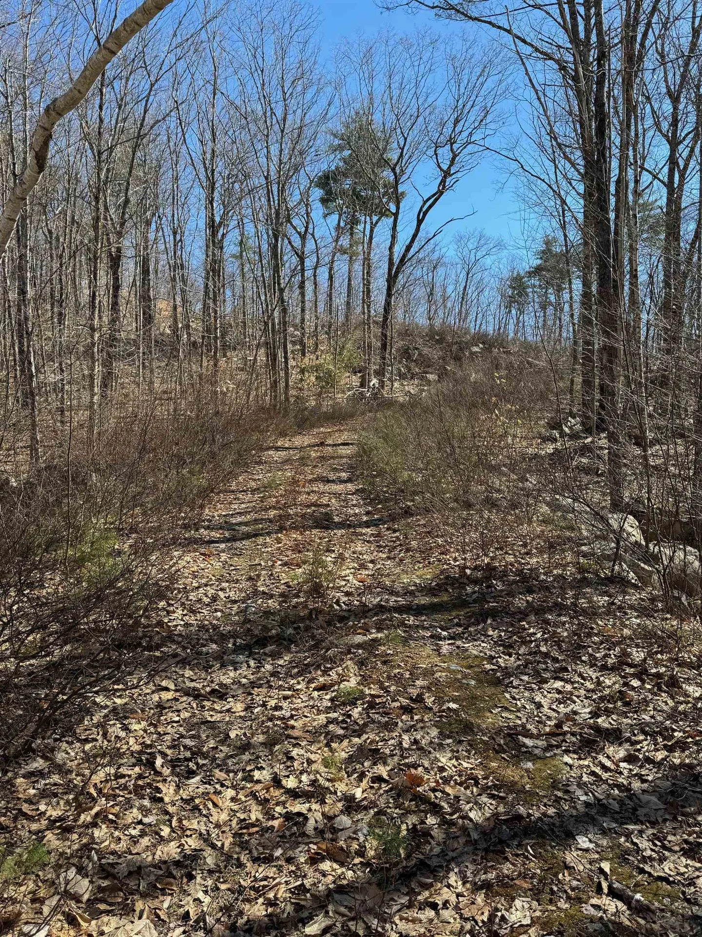 409 Powder Mill Road Alton NH 03809