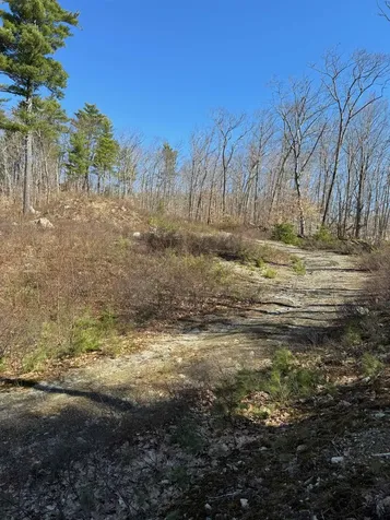 409 Powder Mill Road Alton NH 03809