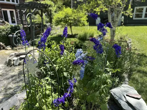 1923 Drake Road Castleton VT 05732