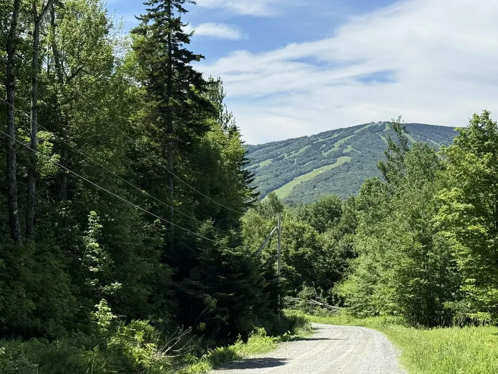 0 Forest Heights Dover VT 05356