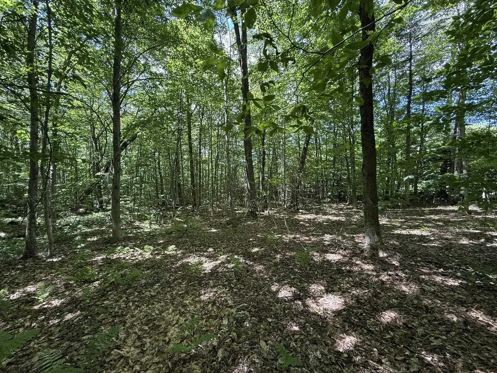 0 Forest Heights Dover VT 05356