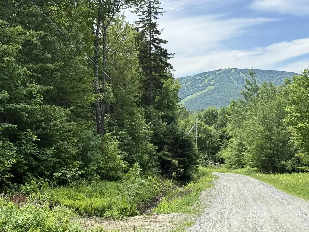 0 Forest Heights Dover VT 05356