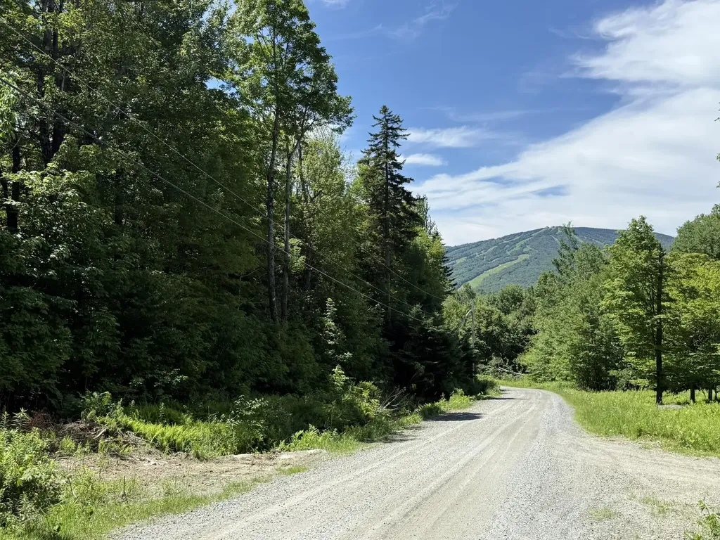 0 Forest Heights Dover VT 05356