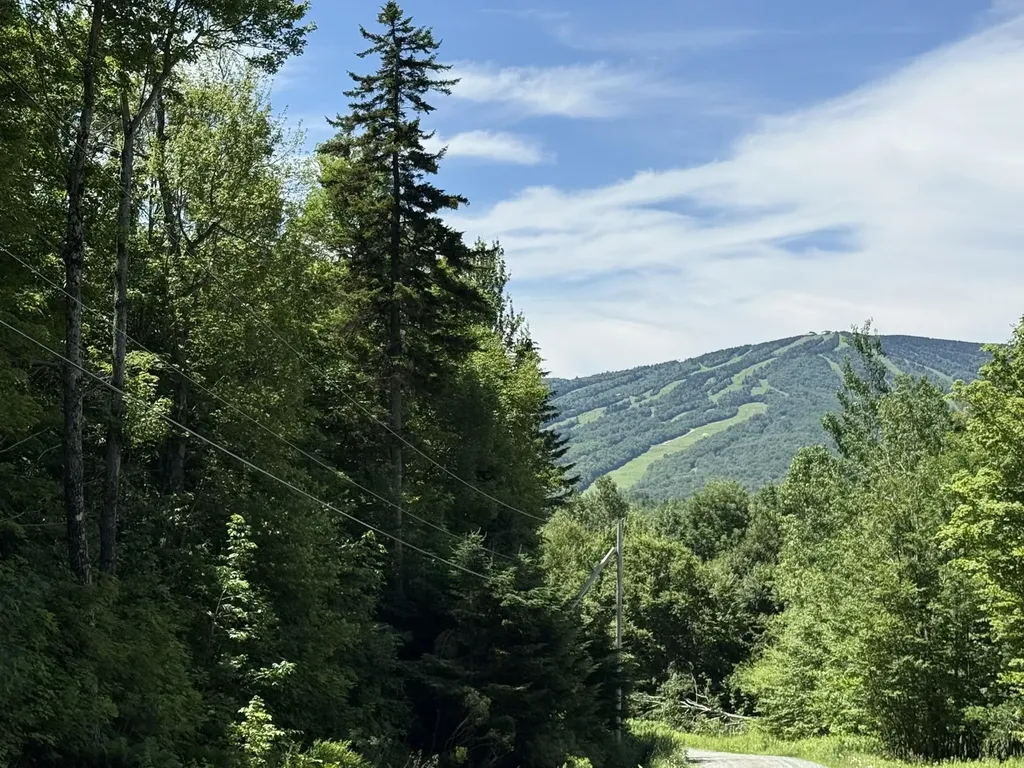 0 Forest Heights Dover VT 05356