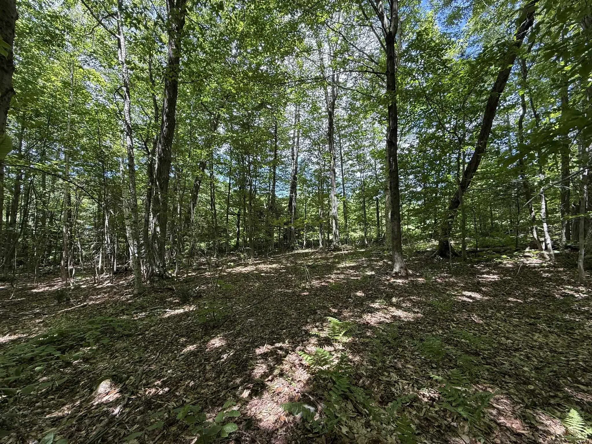 0 Forest Heights Dover VT 05356