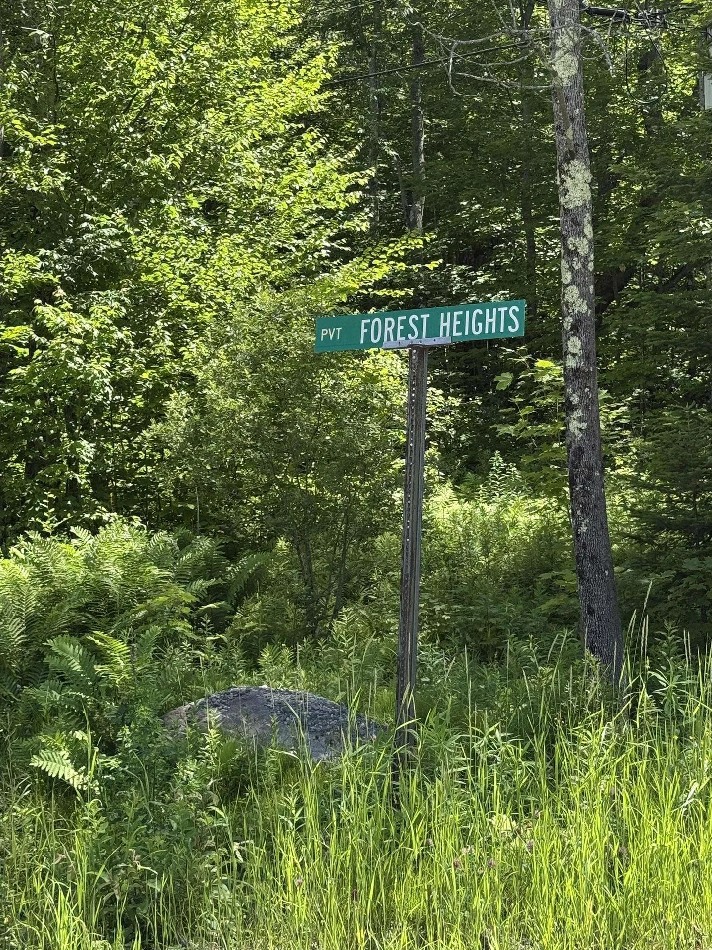 0 Forest Heights Dover VT 05356