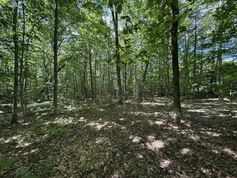 0 Forest Heights Dover VT 05356