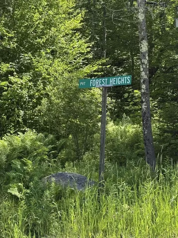 0 Forest Heights Dover VT 05356