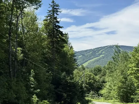 0 Forest Heights Dover VT 05356