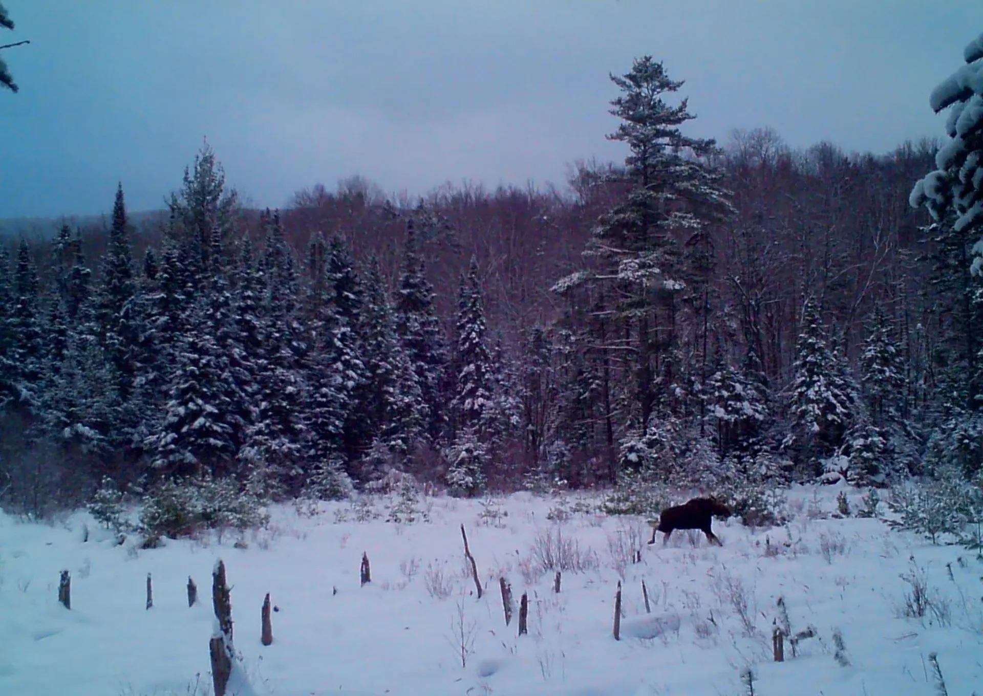 28 Miles Road Benton NH 03785