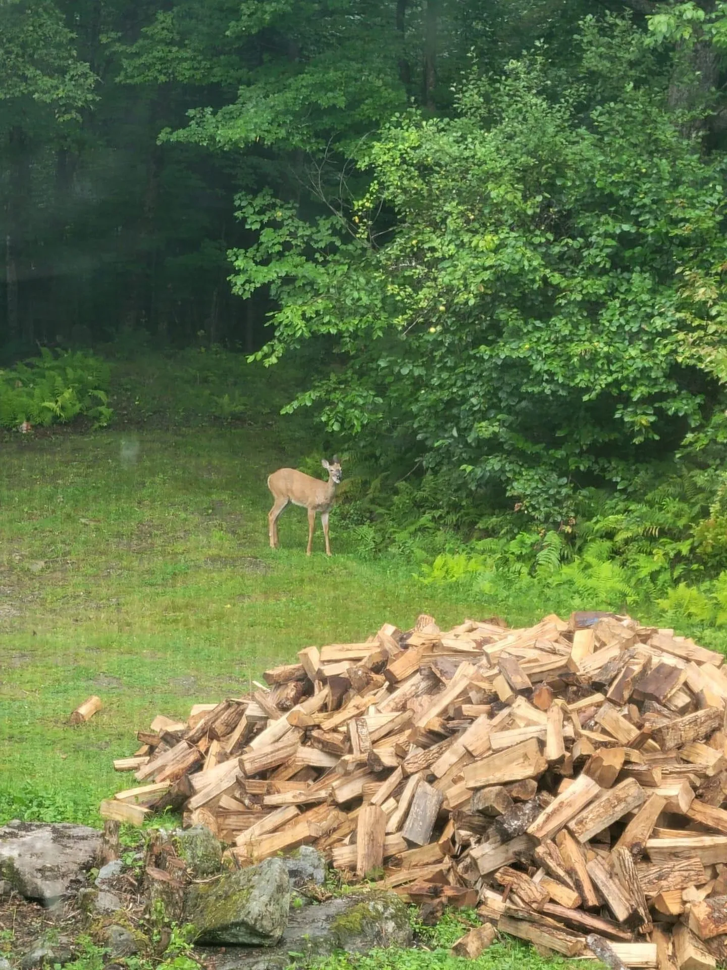 28 Miles Road Benton NH 03785