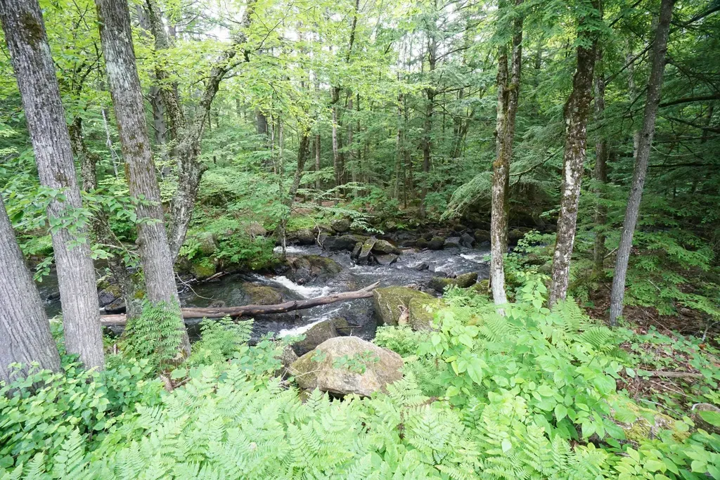 344 Roby Road Sutton NH 03273