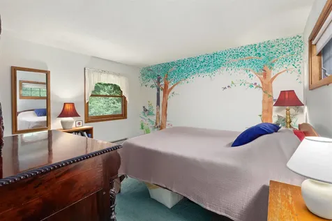 352 Edwins Pond Road Rochester VT 05767