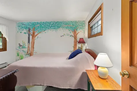 352 Edwins Pond Road Rochester VT 05767