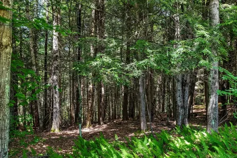 769 Davidson Hill Road Chester VT 05143