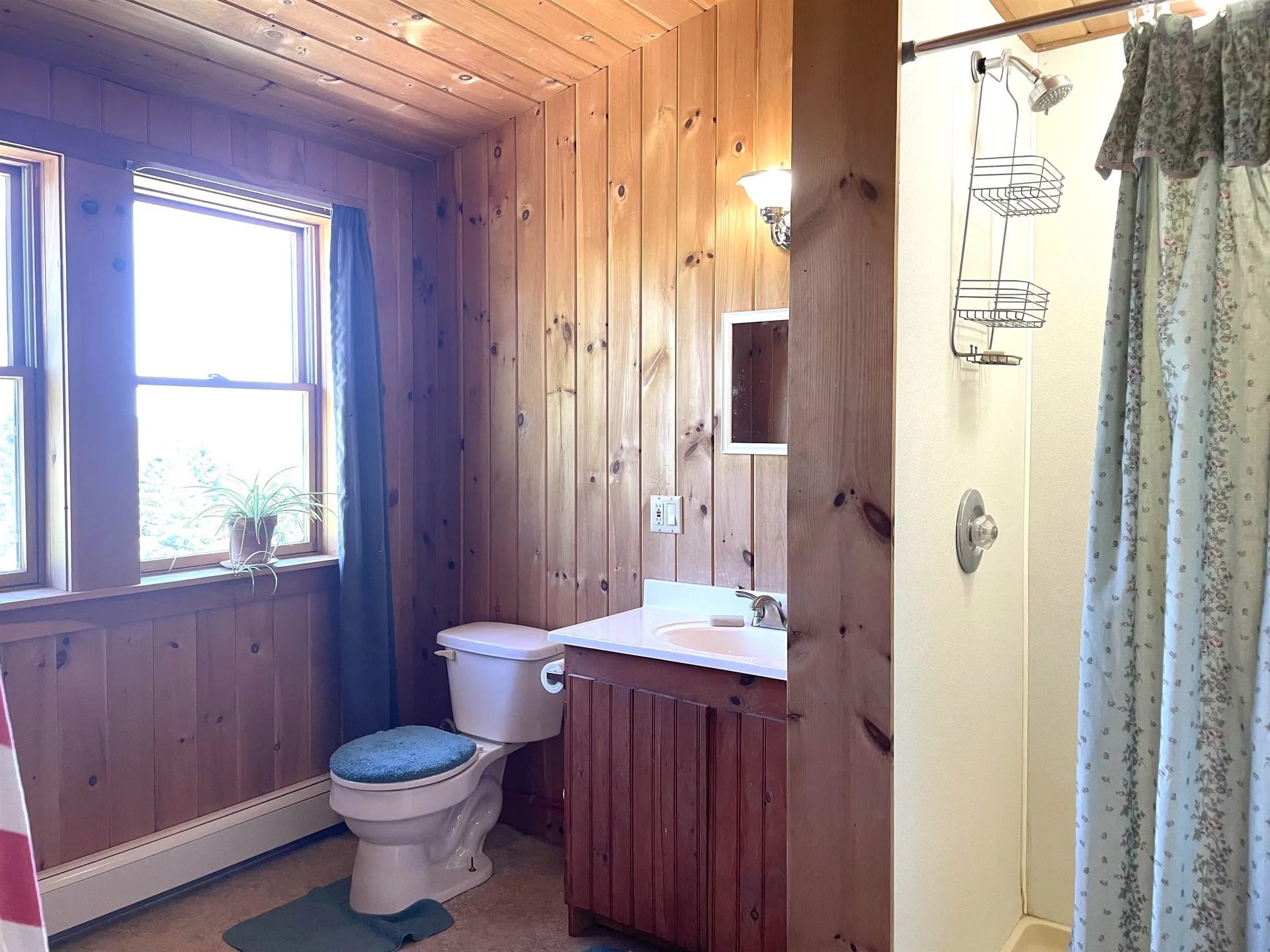 303 Bolton Road Cabot VT 05647