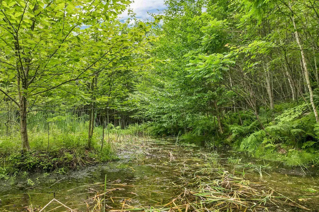 1400 Cass Mill Road Alexandria NH 03222