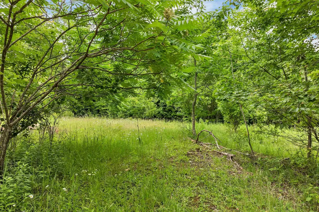 1400 Cass Mill Road Alexandria NH 03222