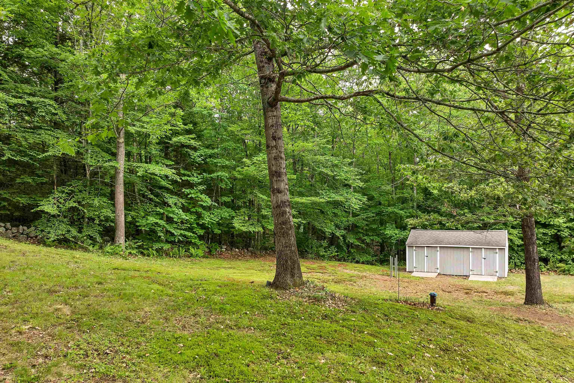 1400 Cass Mill Road Alexandria NH 03222