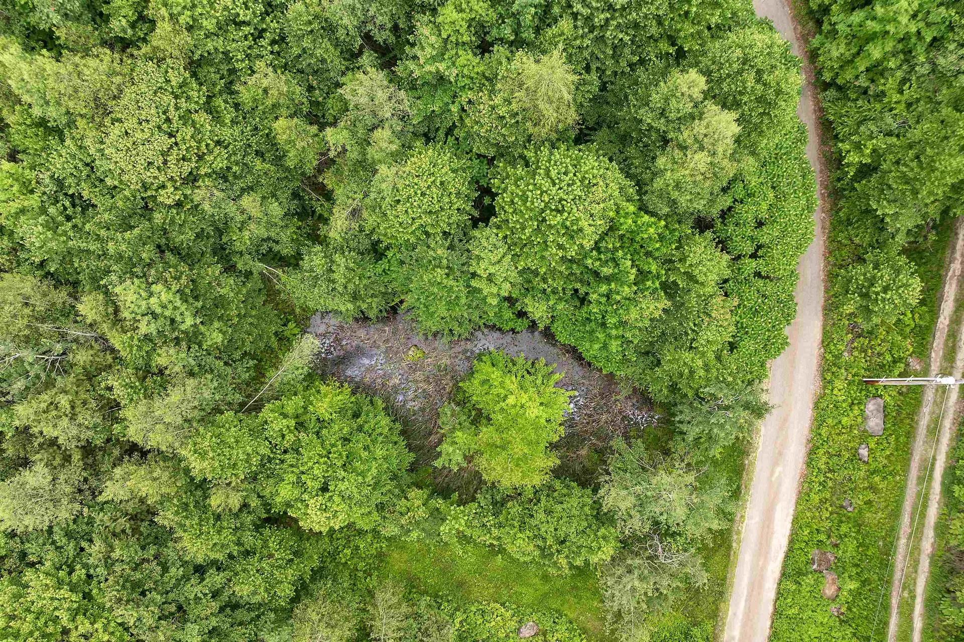 1400 Cass Mill Road Alexandria NH 03222