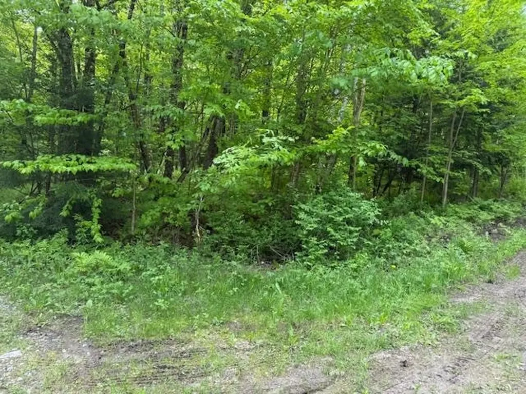 76 Wimble Road Fairfax VT 05454