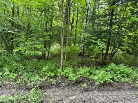 76 Wimble Road Fairfax VT 05454