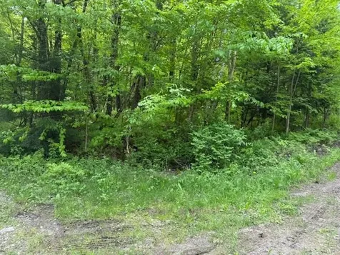 76 Wimble Road Fairfax VT 05454