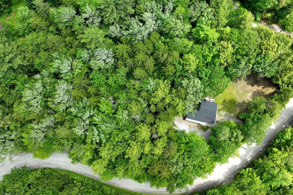 26 Fiddlehead Lane Pittsfield VT 05762