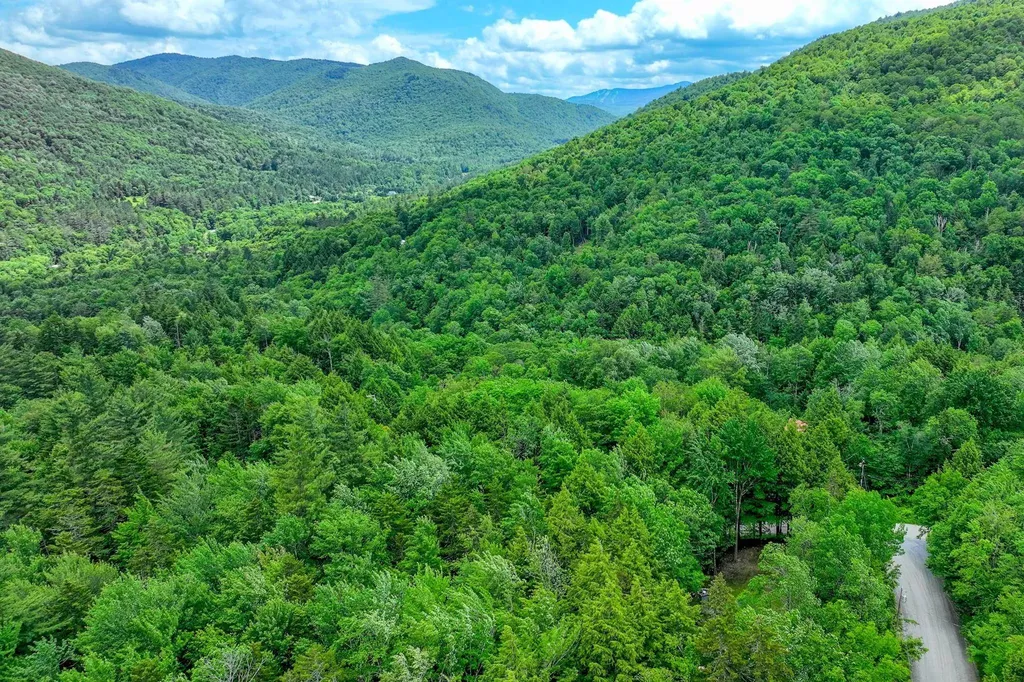 26 Fiddlehead Lane Pittsfield VT 05762