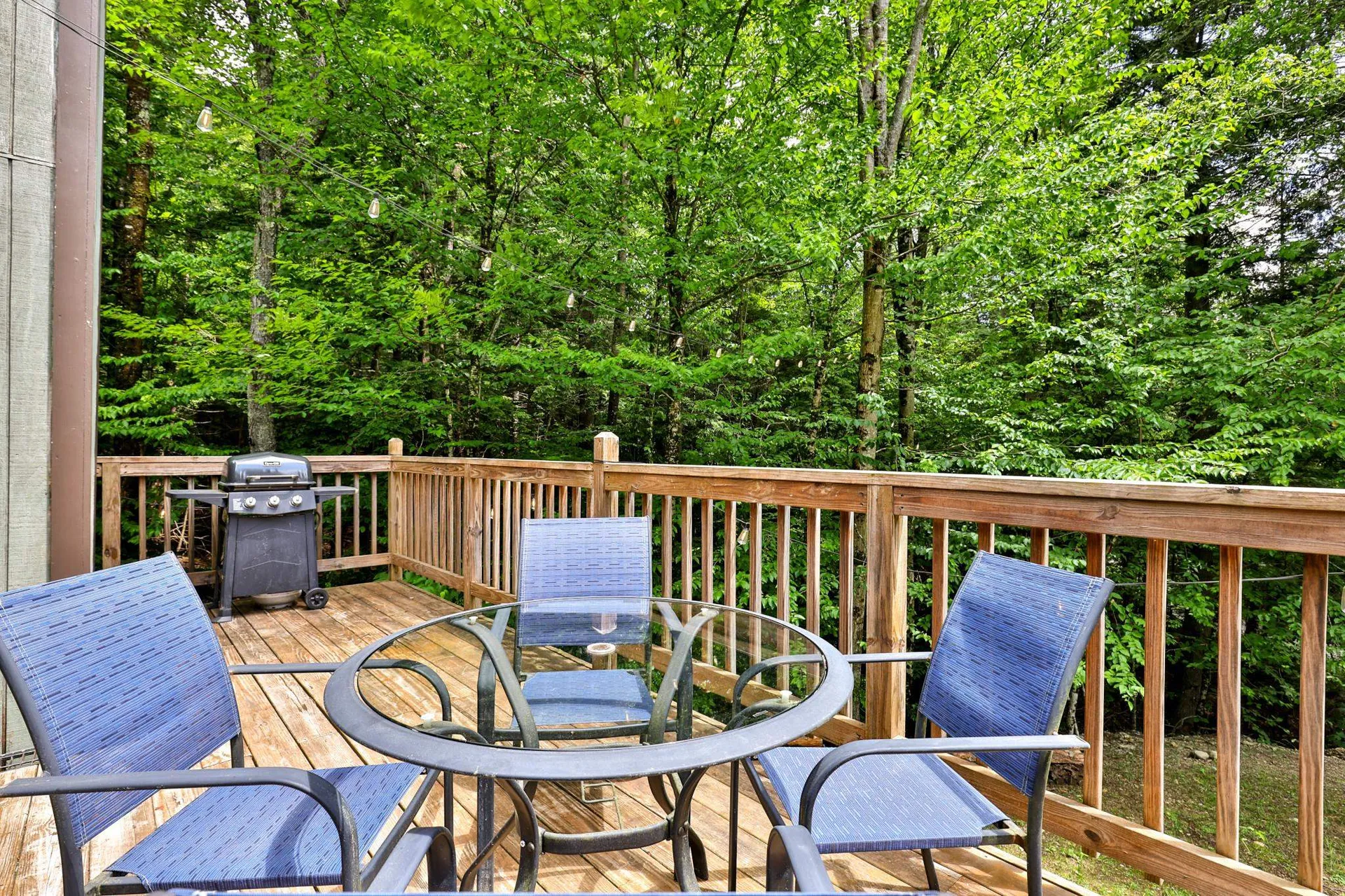 26 Fiddlehead Lane Pittsfield VT 05762