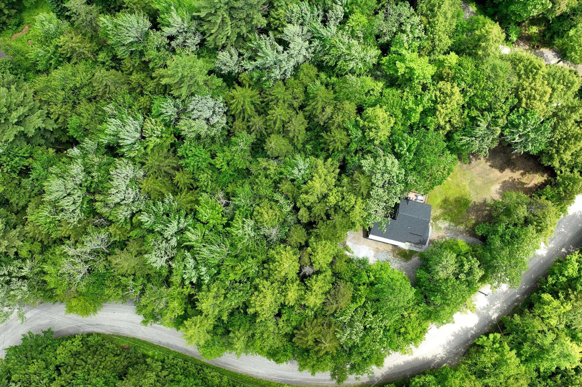 26 Fiddlehead Lane Pittsfield VT 05762