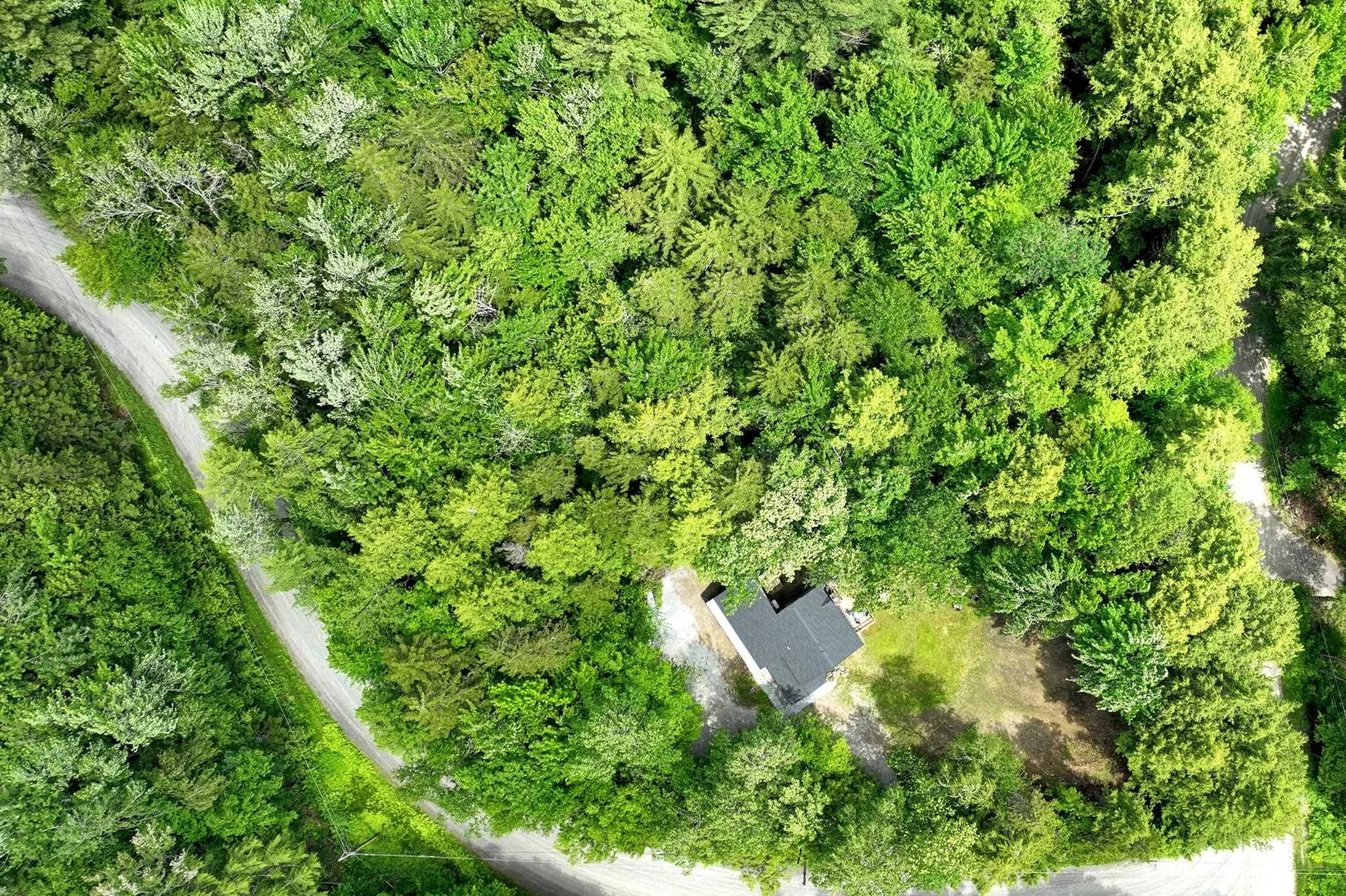 26 Fiddlehead Lane Pittsfield VT 05762