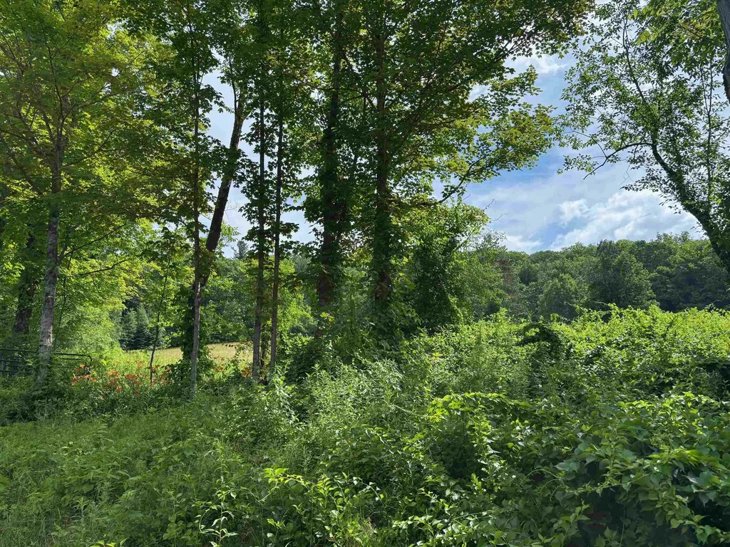 2745 Bonnyvale Road Guilford VT 05301