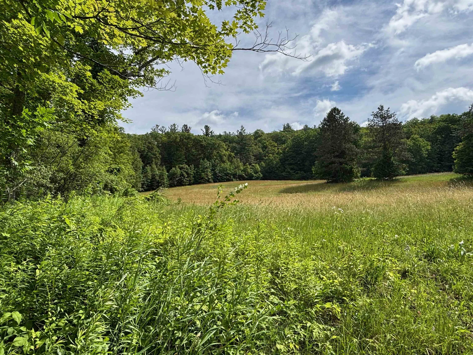 2745 Bonnyvale Road Guilford VT 05301